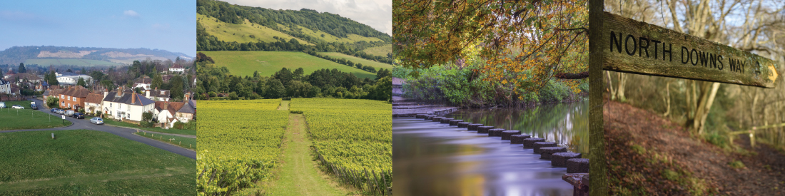 Merrywood-park-near-Dorking